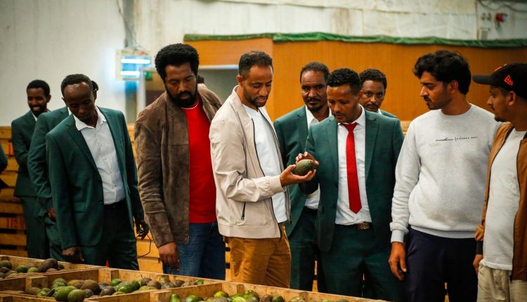 የጅማ አካባቢን የተፈጥሮ አቅም ያማከለ ኢንቨስትመንት እንዲኖር ይሠራል – ኮርፖሬሽኑ