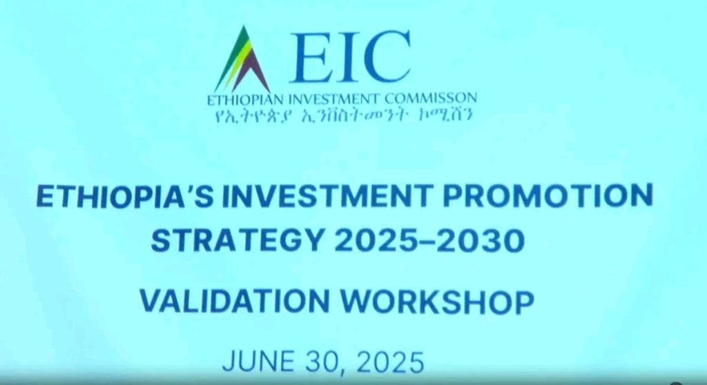 New Investment Promotion Strategy Aims to Enhance Ethiopia’s Economic Competitiveness