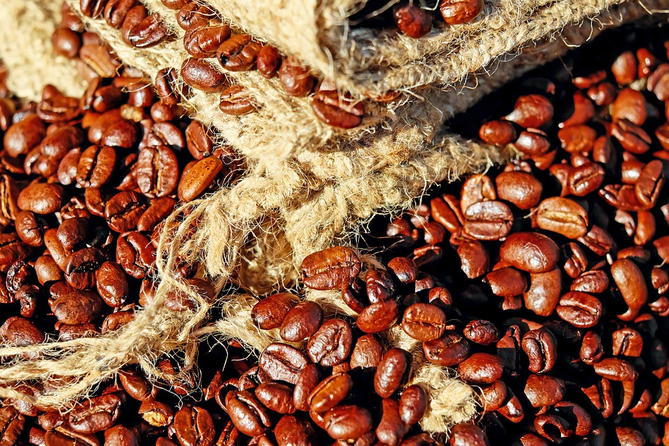 Ethiopia’s Coffee Exports Generate USD 2.24 Billion in 11 Months